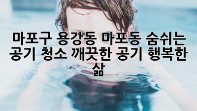 마포구 용강동 마포동 숨쉬는 공기 청소: 깨끗한 공기, 행복한 삶
