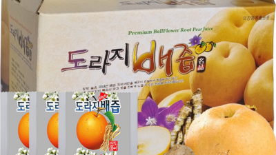 광주 100개입 국내산 100% 도라지배즙: 솔직 후기와 꿀팁 대방출! ✨