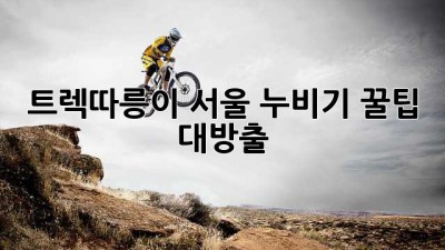 트렉따릉이🚲 서울 누비기! 꿀팁 대방출🍯